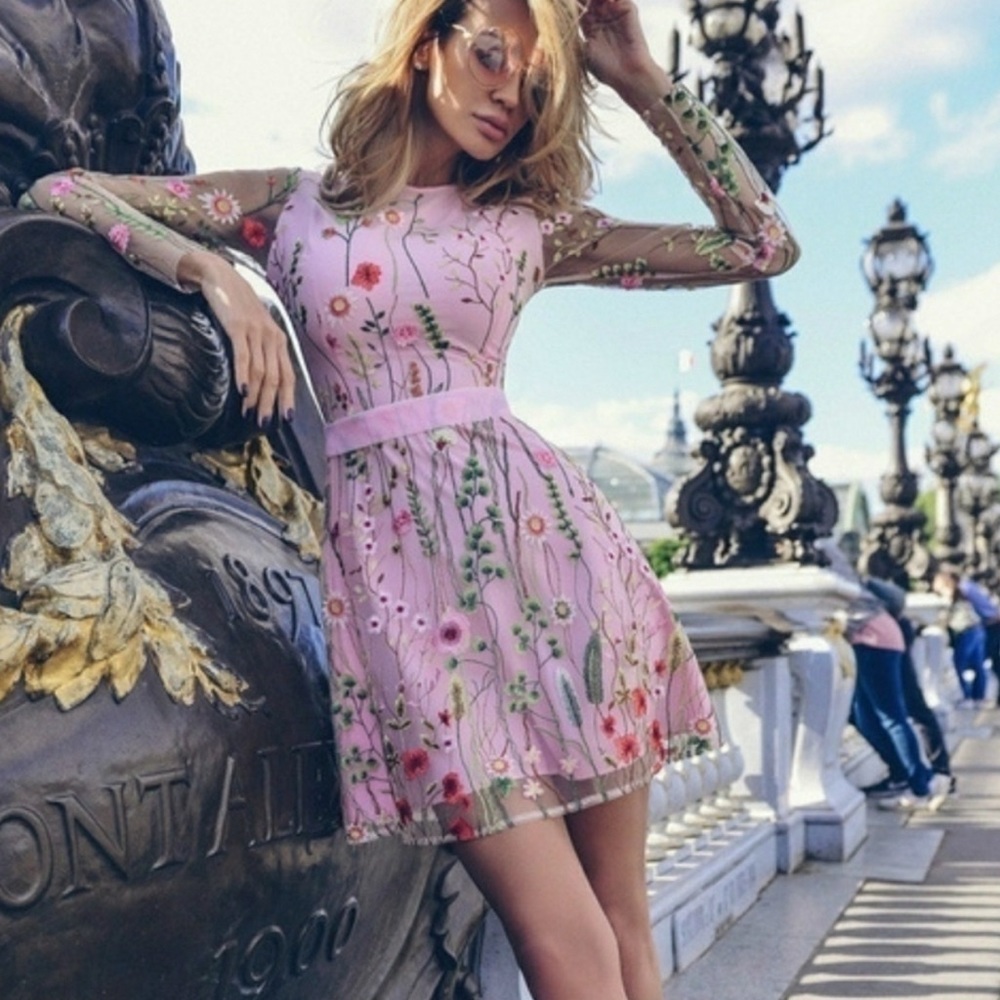 Pink Sheer Floral Embroidery Print Dress